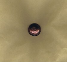 Capsule de Crémant GUINOT - N° 8 - Bordeaux et Or