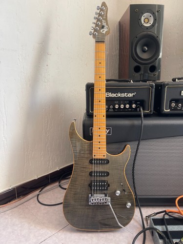 Electric guitar vigier - guitar,