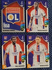 Lot cartes panini - lot,