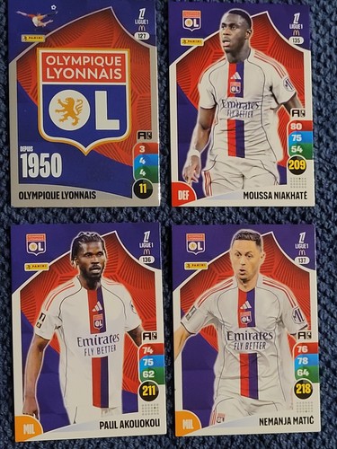Lot cartes panini - lot,