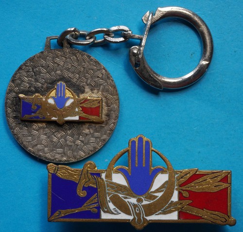 Insigne des forces - insigne,