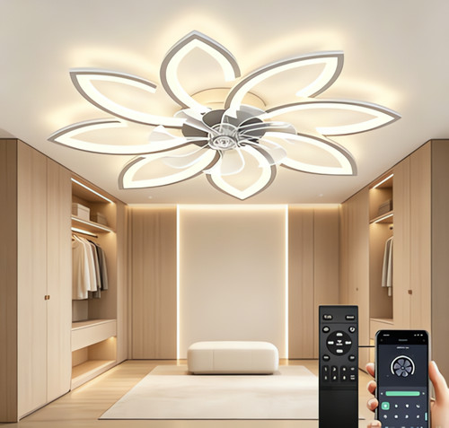 Ventilateur-plafonnier
