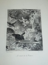 Marie LOUVEAU-ROUVEYRE