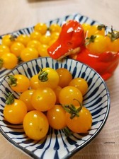 Clémentine Tomate - Cherry tomate - Tomate - 40+ Graines - Graines - Graines ...