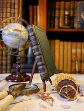 Les aventures de Télémaque