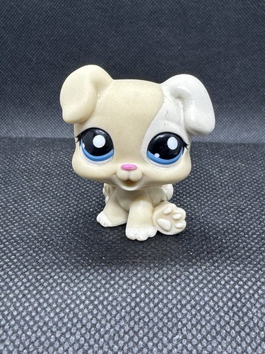 Authentic littlest pet - littlest, shop