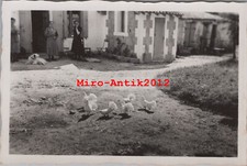 Photo, Cavalerie Régt. 3