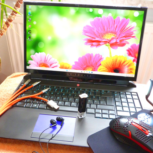 Alienware area 51m 17 - r1,