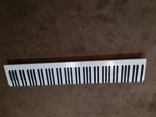 Keys for kronos natilus - kronos,,