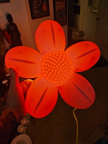 Ikea smila blomma flower - blomma, daisy