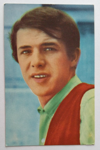 Adamo carte maple leaf 1966 - leaf,
