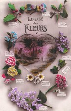 CP LANGAGE FLEURS COEUR MARGUERITE OEILLET PENSEE ROSE ... - 35099