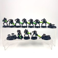 x13 Guerriers + Scarabés