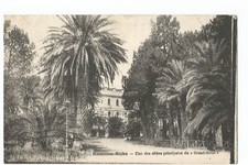 ALGERIE , HAMMAM RIGHA , UNE DES ALLEES PRINCIPALE DU GRAND HOTEL