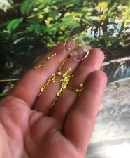 Petite dinette miniature, verre, minuscules couverts, fourchettes, cuillères