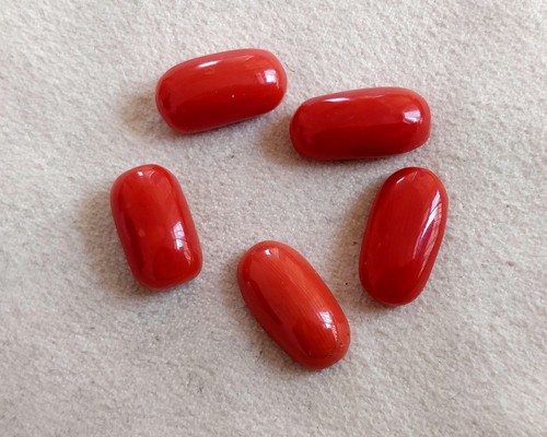 Cabochons corail rouge - corail,