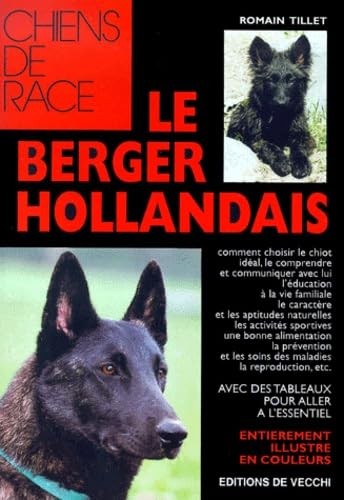 Berger hollandais tillet - le,
