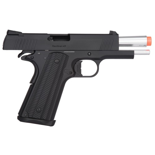 Golden eagle 3329 - golden,