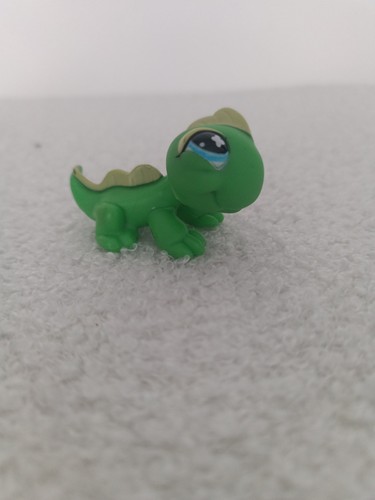 Petshop lézard - petshop,
