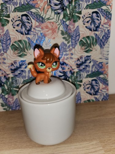 Lps 807 littlest petshop - #807,