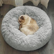 Coussin Chien, Panier Chat