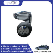 🇫🇷 POMMEAU LEVIER