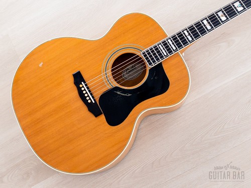 1978 guild jumbo acoustic - 1978, f-50