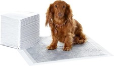 120 Paquet Amazon Basics