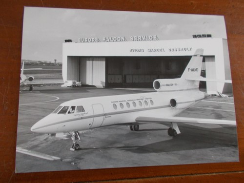 Falcon