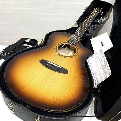 breedlove guitar