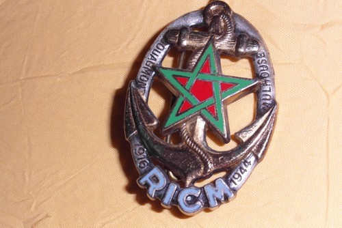 Insigne armee francaise ricm - armee,