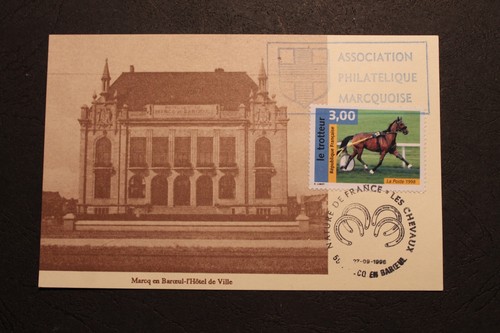 Carte postale chevaux le - -, chevaux:le