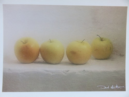 Carte postale david - carte,