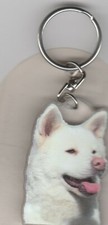AKITA INU CHIEN PORTE CLES /