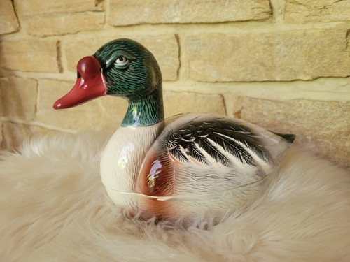 Terrine canard colvert - terrine,