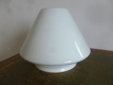 ANCIEN GLOBE POUR LUSTRE