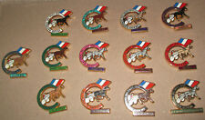 pin's hippisme / Grand