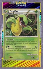 🌈Empiflor Holo - HS03:Triomphe - 12/102 - Carte Pokemon Française