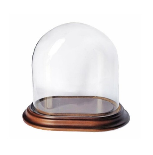 Cloche verre ovale avec - en,