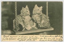 CHATS.n°1951.DEUX CHATONS SUR UNE BALANCOIRE