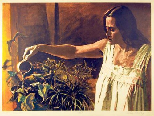 John hardy window garden - john,