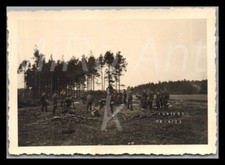 Photo, WW2 RAD 4/235 au front