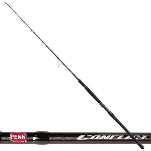 Canne pêche penn big - à,