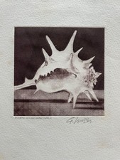 Gravure à la pointe séche