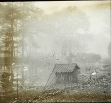 Effet Brouillard Lac Forêt Artistique c1900, Photo Stereo Plaque Verre VR9L8n11