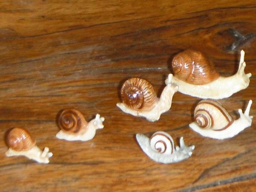 Escargot famille six - famille, de