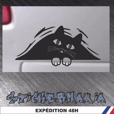 humour chat pare brise voiture Autocollant fun drole décoration  stickers