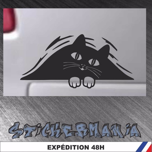 Humour chat pare brise voiture - humour,