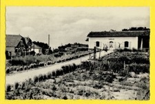 cpa 85 - JARD sur MER (Vendée) MAISON FORESTIERE de BELLEVUE et Avenue de la MER