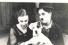 PHOTO PRESSE TÉLÉ ANTENNE 2 FILM UNE VIE DE CHIEN E.PURVIANCE CHARLIE CHAPLIN
